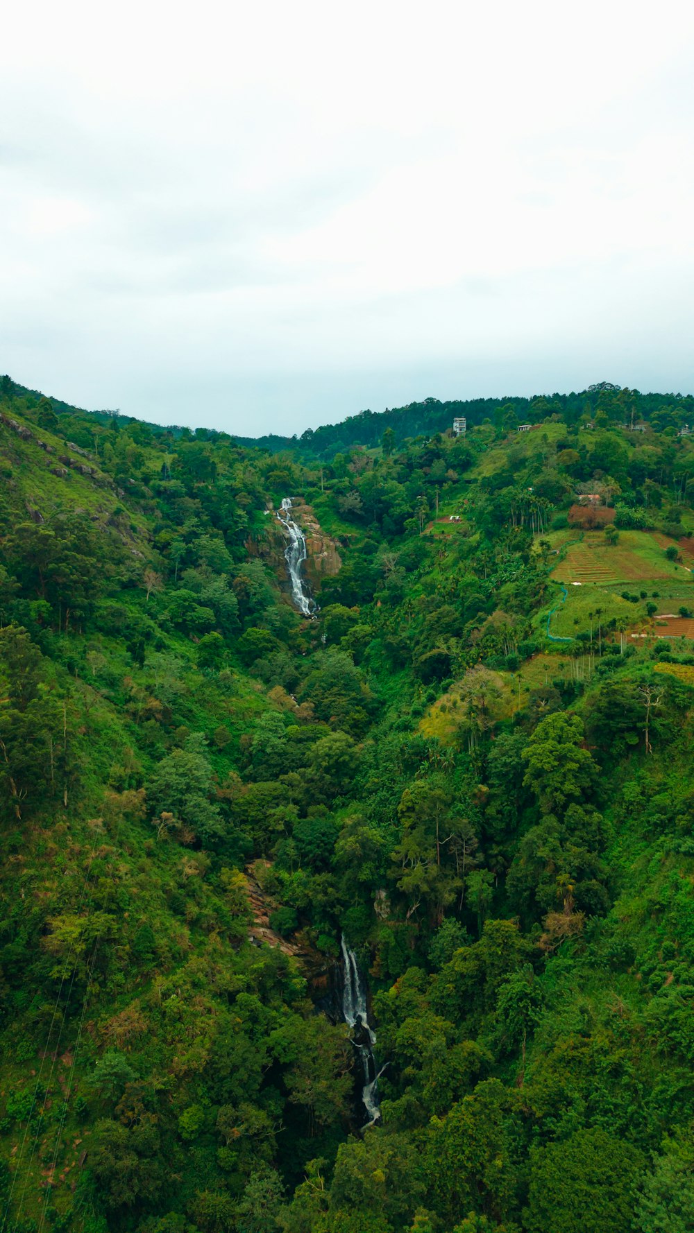 a waterfall in the middle of a lush green forest