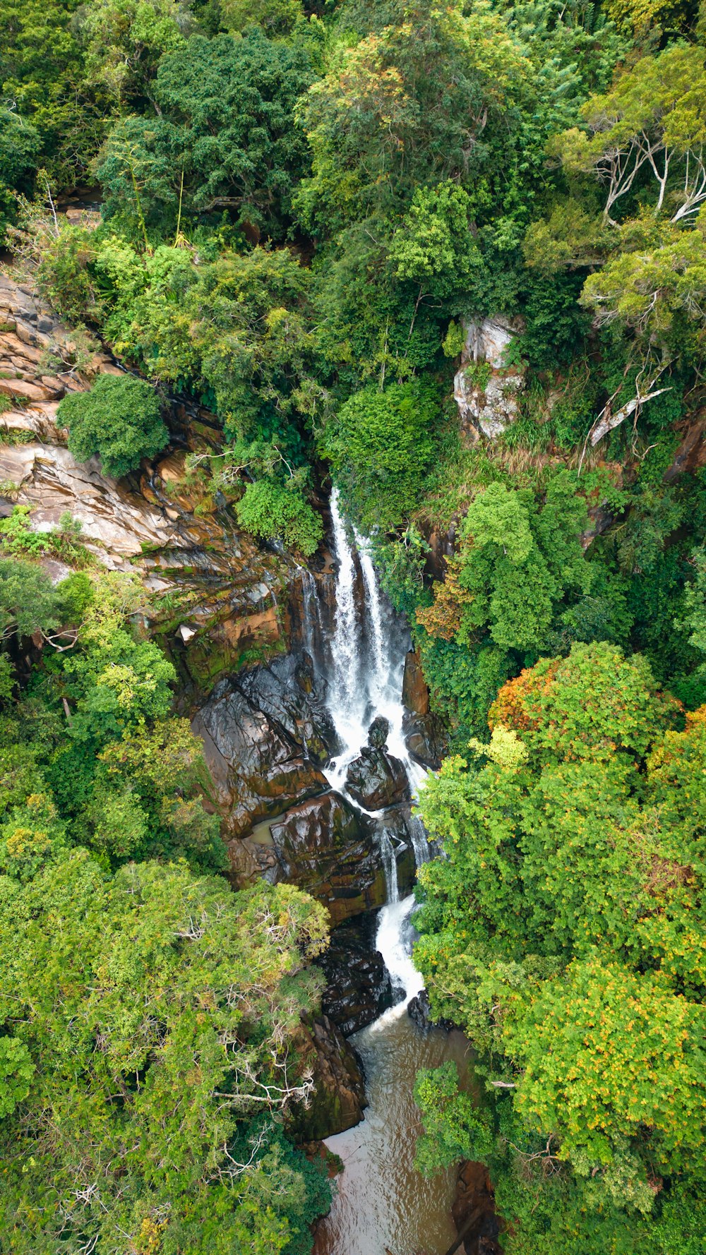 a waterfall in the middle of a forest