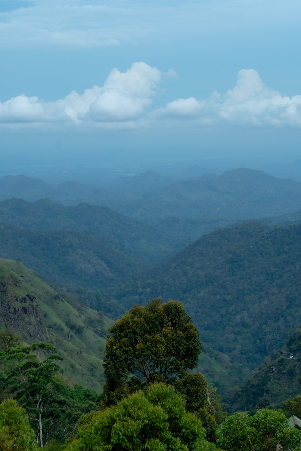 a view of a mountain range from a distance