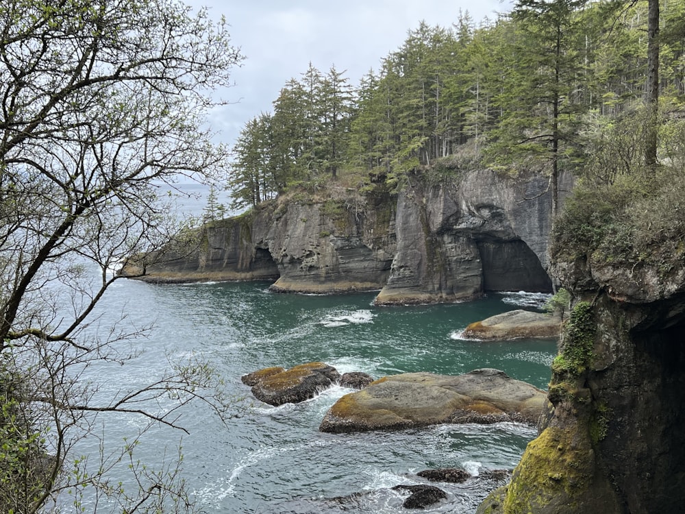 a large body of water surrounded by trees