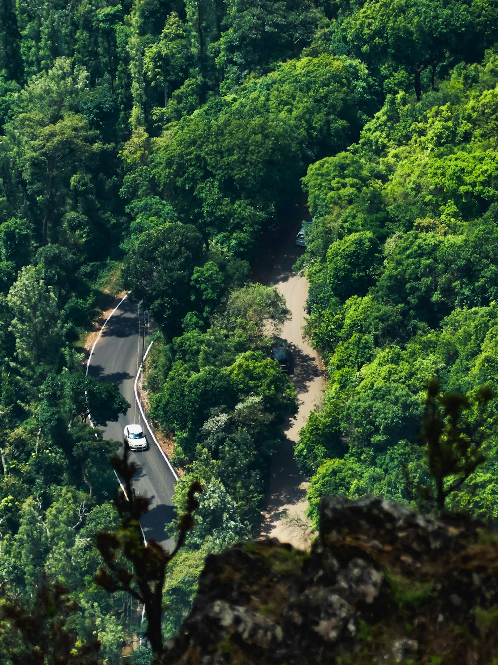 a car driving down a winding road in the middle of a forest