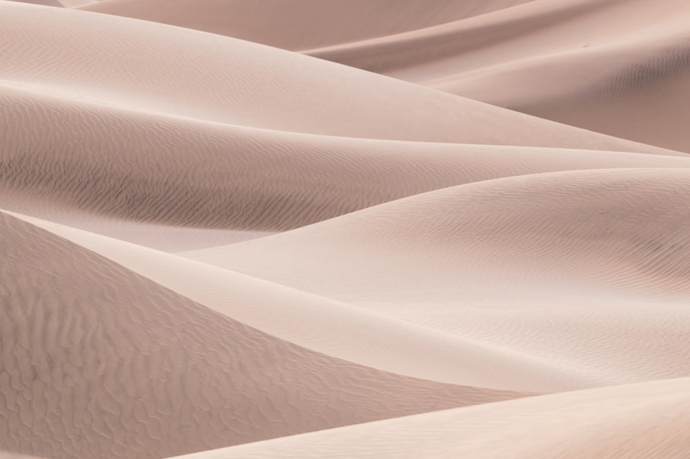 a group of sand dunes in the desert