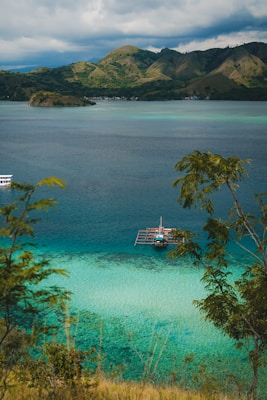 A picturesque landscape featuring a serene bay with vibrant turquoise and deep blue waters. A traditional boat floats on the clear water near the shoreline, surrounded by lush green hills and overcast skies. Foreground elements include some tree branches framing the scene.