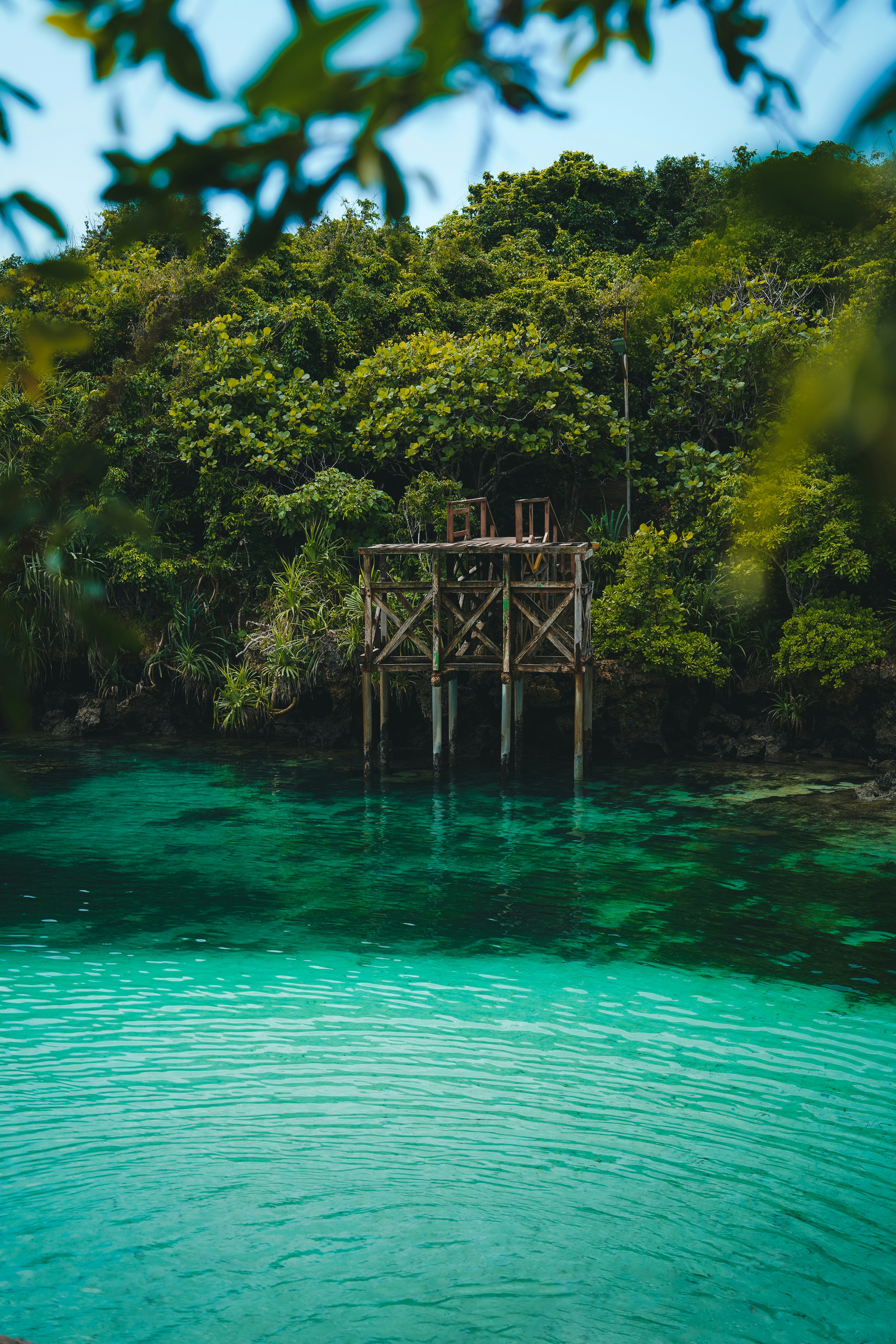 Photo by kevin_charit