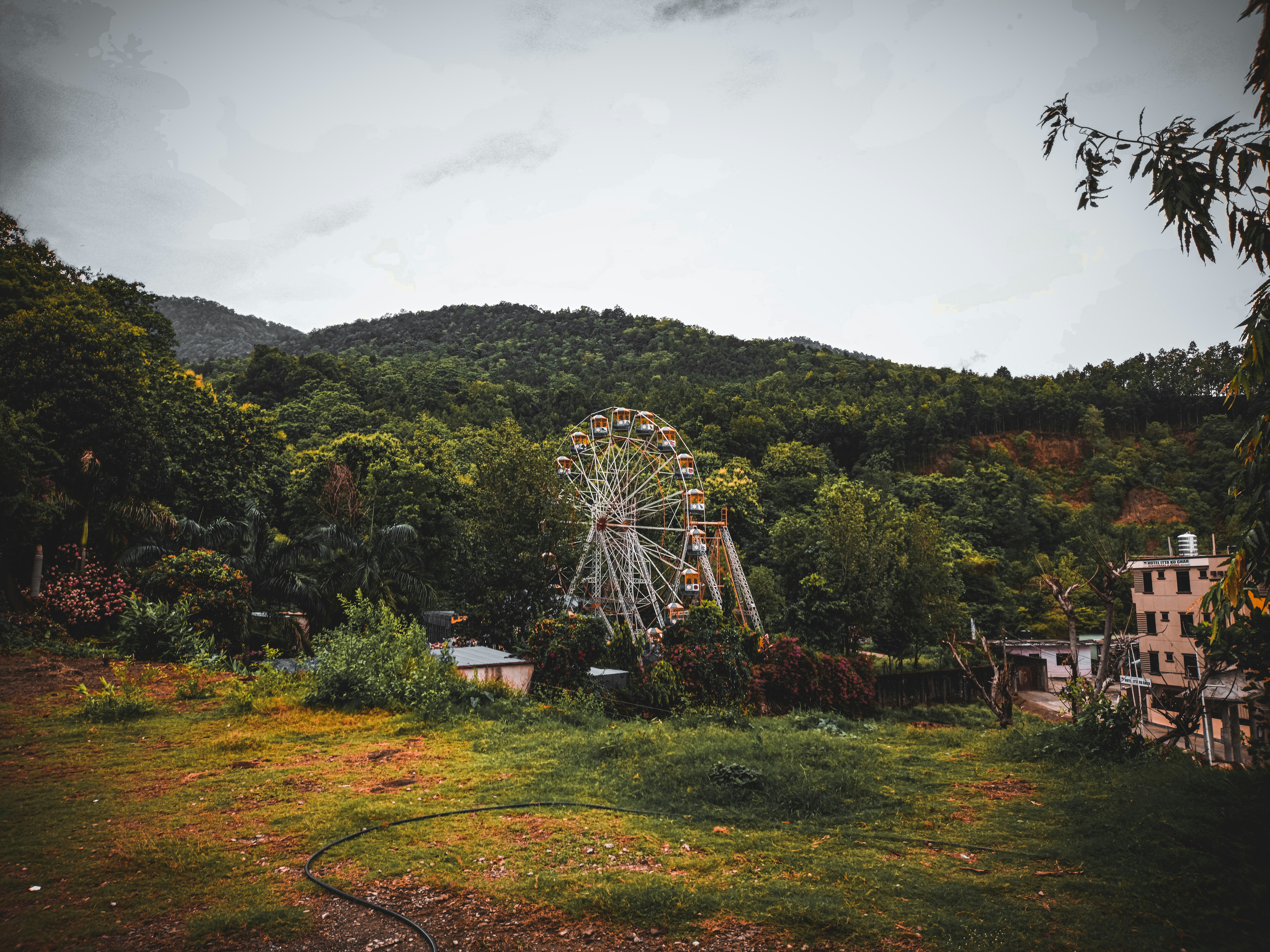 Giant Star's Mysterious X-Rays Finally Explained After 50 Years