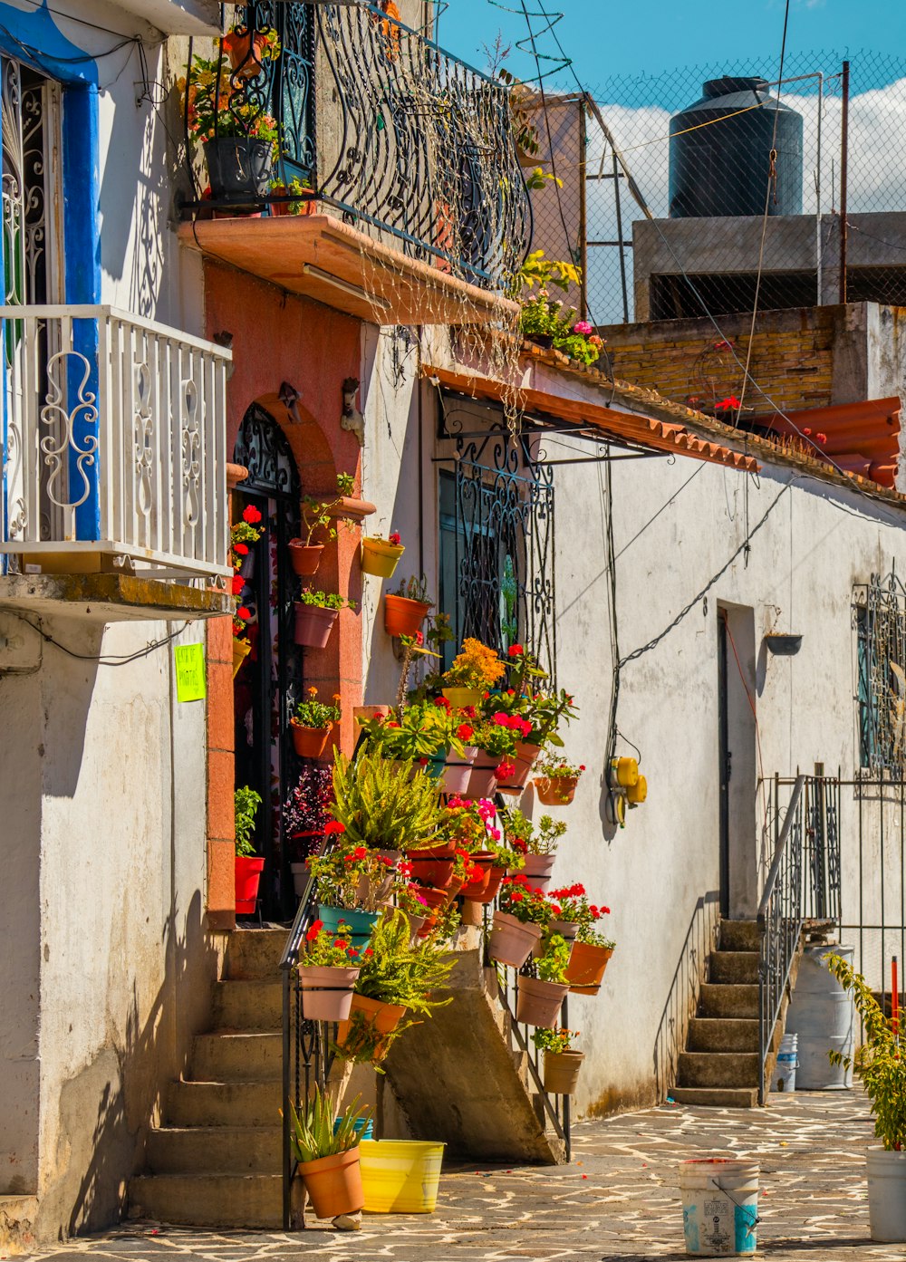 Un edificio con un montón de plantas en macetas frente a él