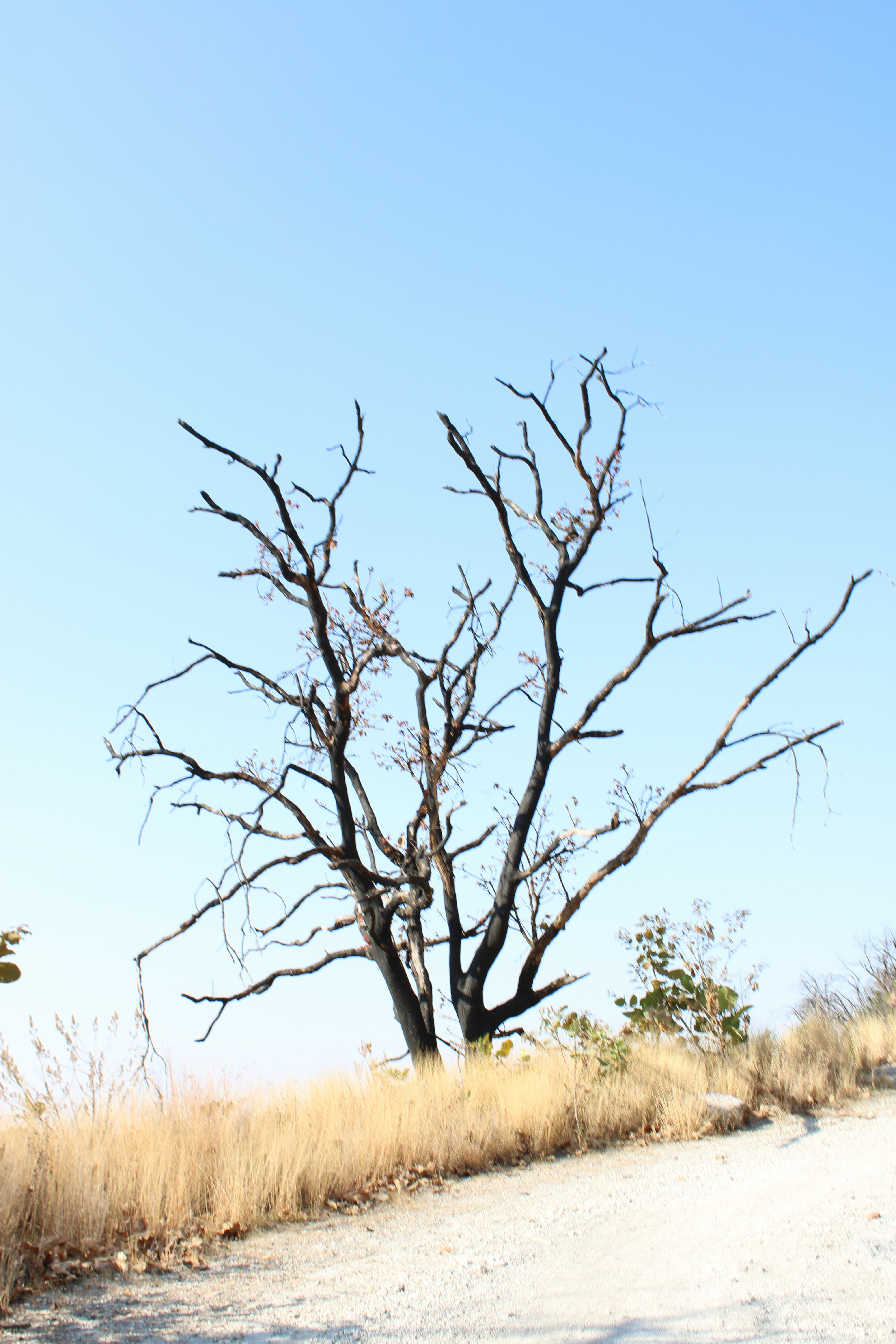 Photo by vallejo_sanabria