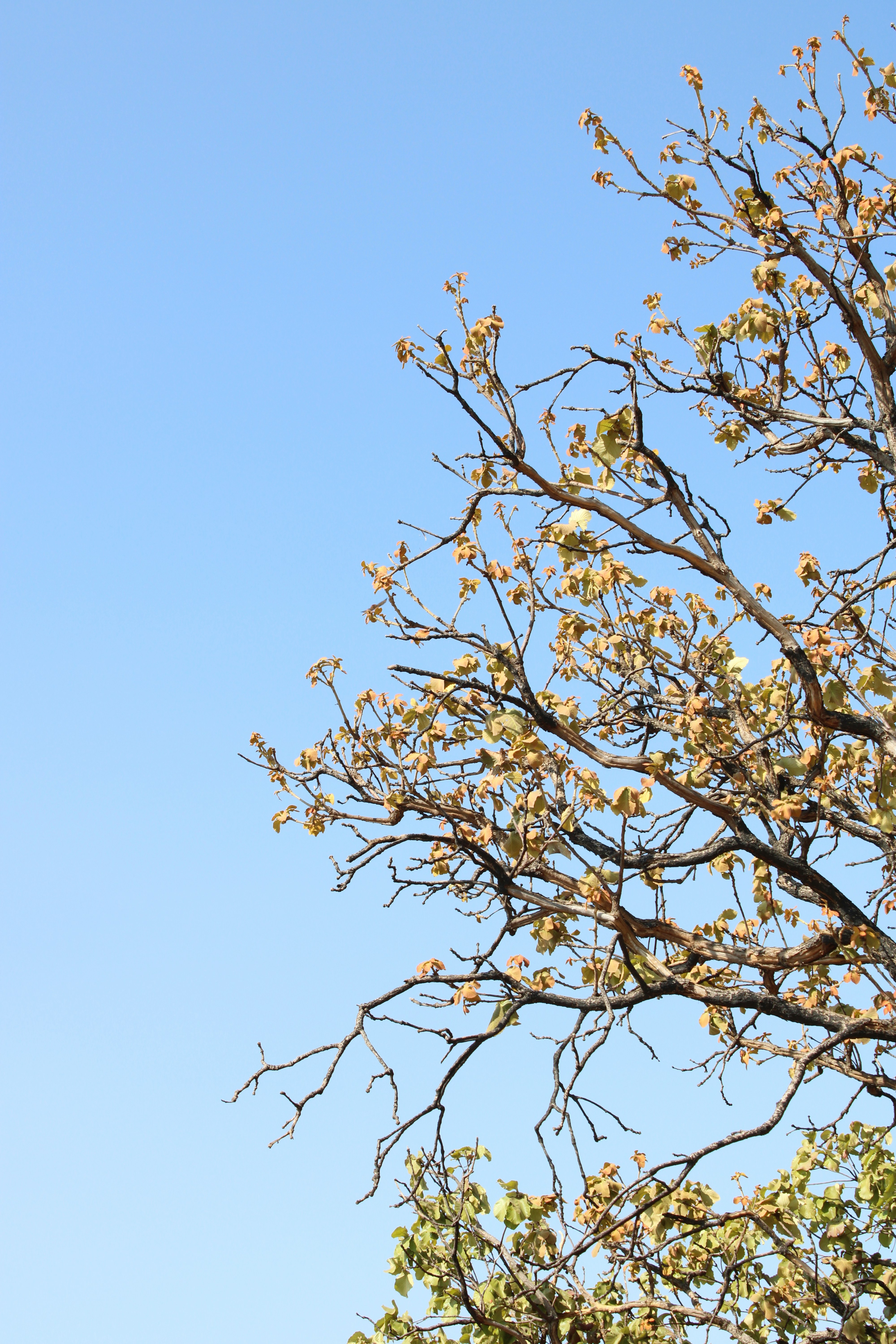 Photo by vallejo_sanabria