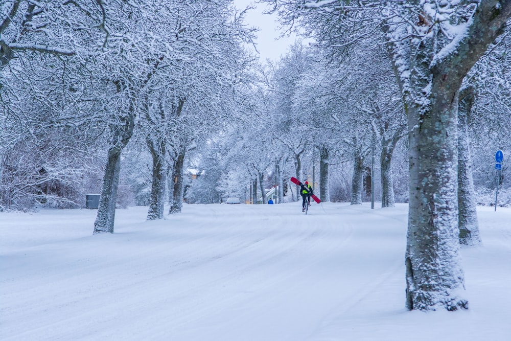 a person walking down a snow covered street