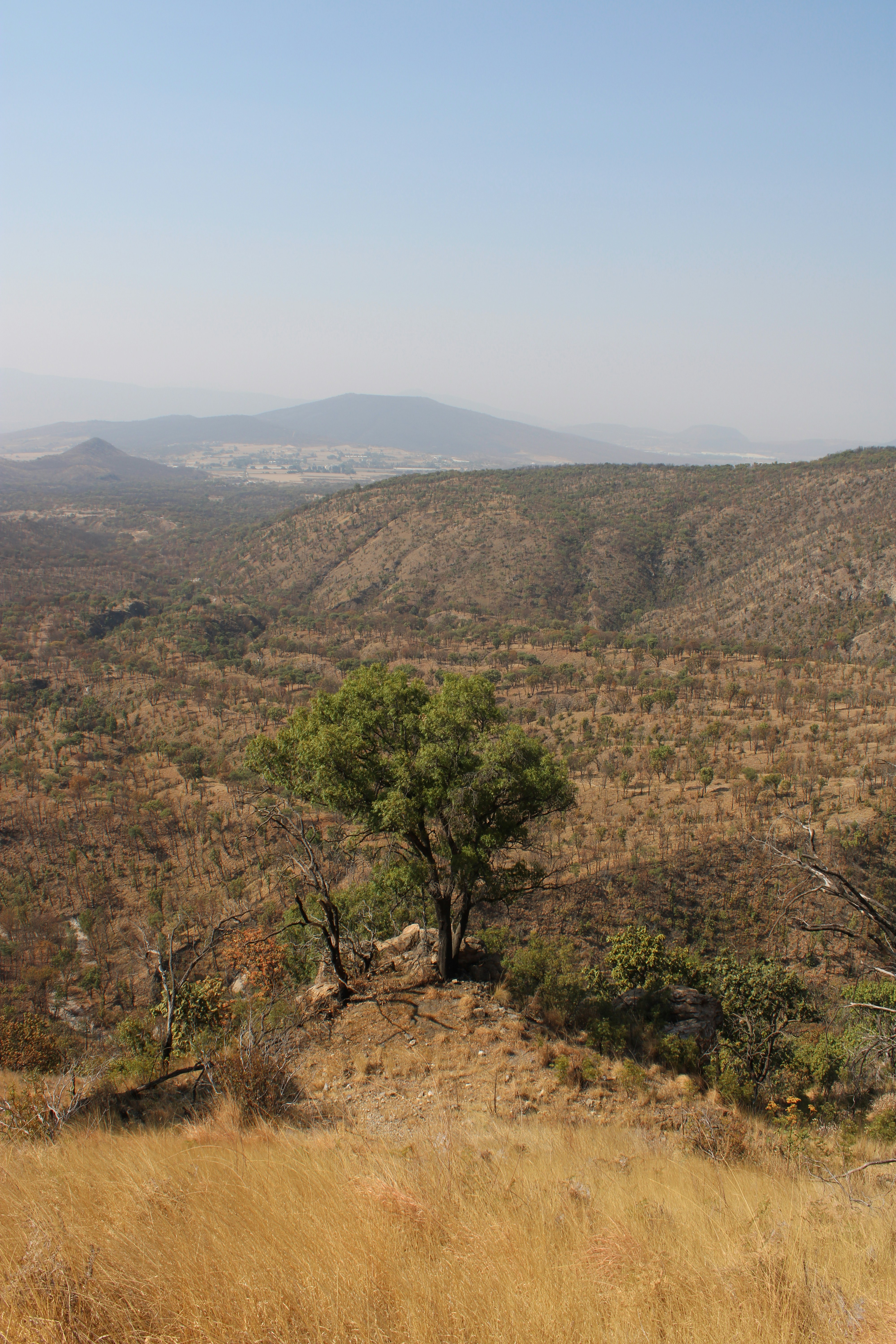 Photo by vallejo_sanabria