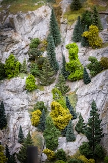 A realistic scale model landscape featuring a rocky terrain covered with various evergreen trees and shrubs. The trees are densely packed, showcasing different shades of green and creating a lush, forested appearance against the textured gray rocks.