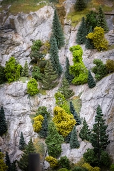 A realistic scale model landscape featuring a rocky terrain covered with various evergreen trees and shrubs. The trees are densely packed, showcasing different shades of green and creating a lush, forested appearance against the textured gray rocks.
