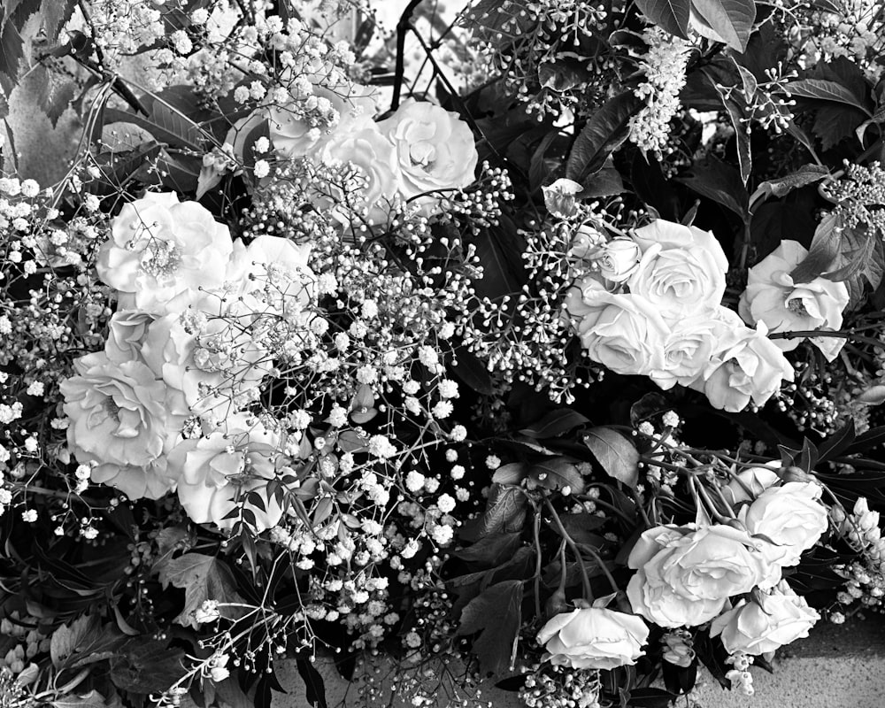 a black and white photo of a bunch of flowers