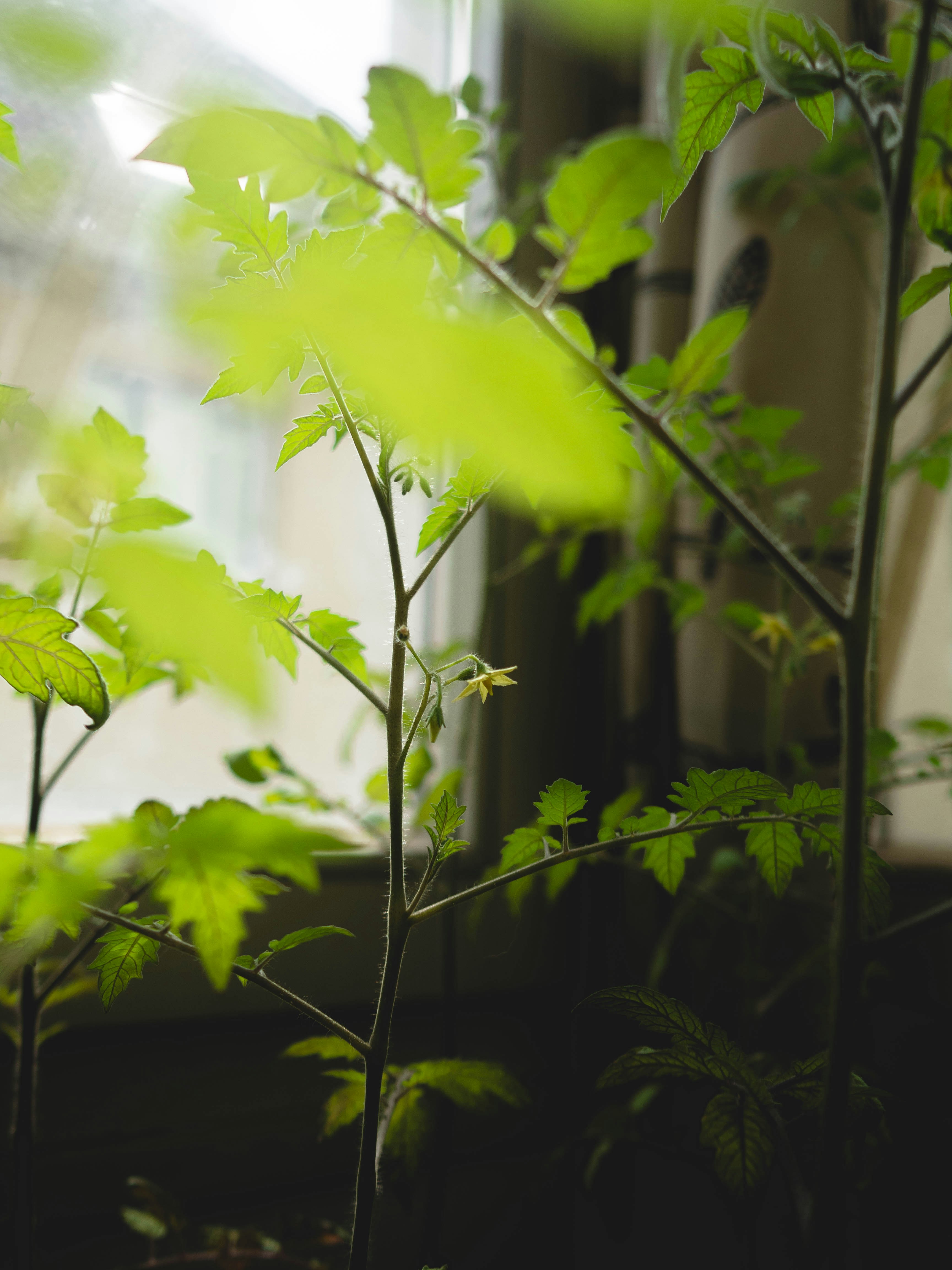 Photo by eileen_kummer