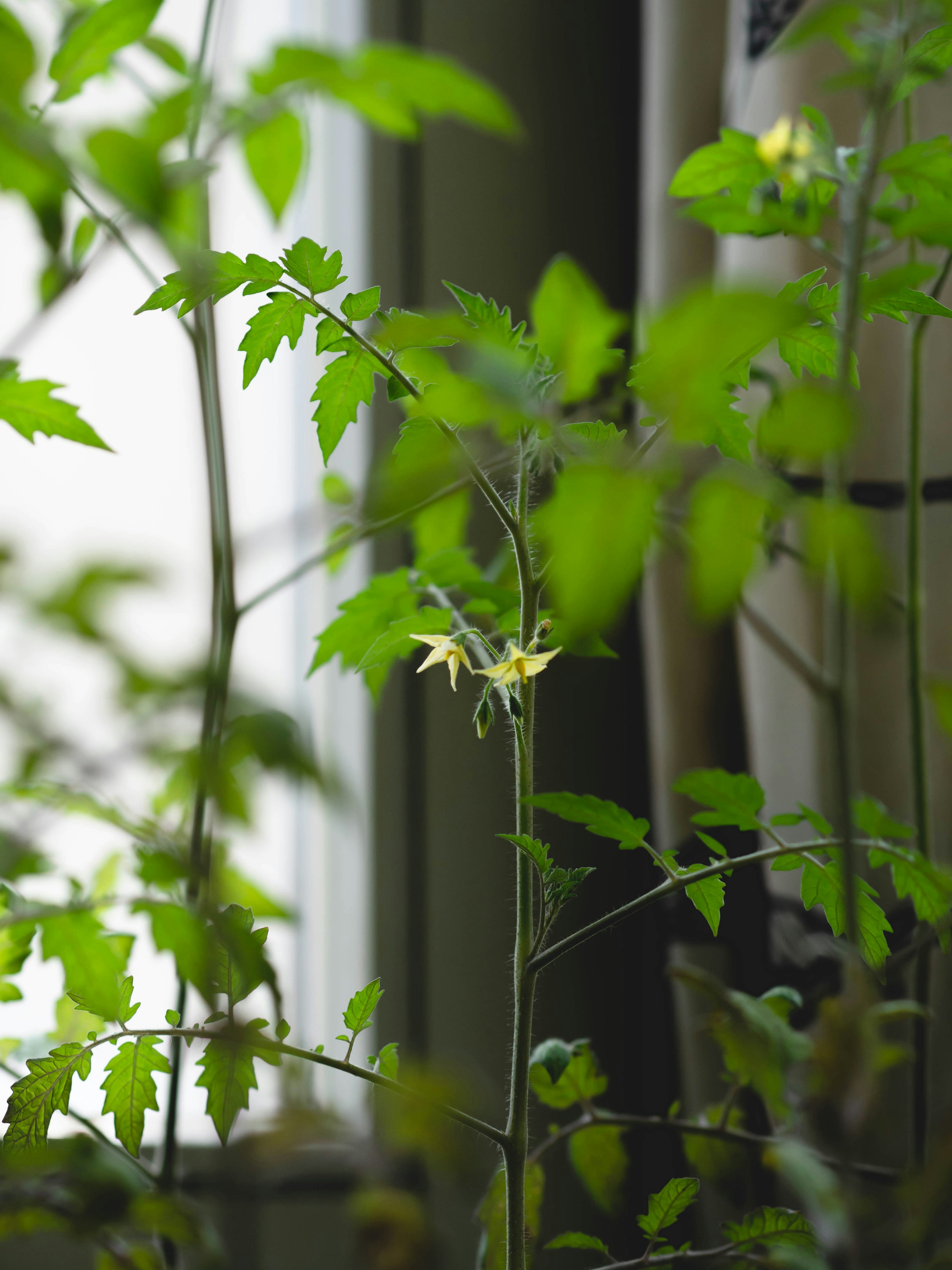 Photo by eileen_kummer