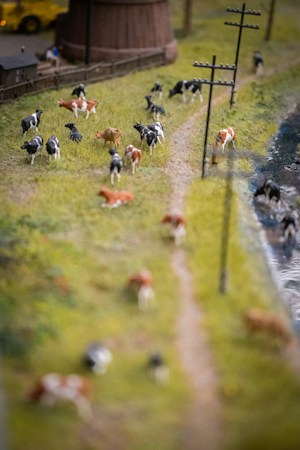 Exploring the Hidden Blessings Ranch