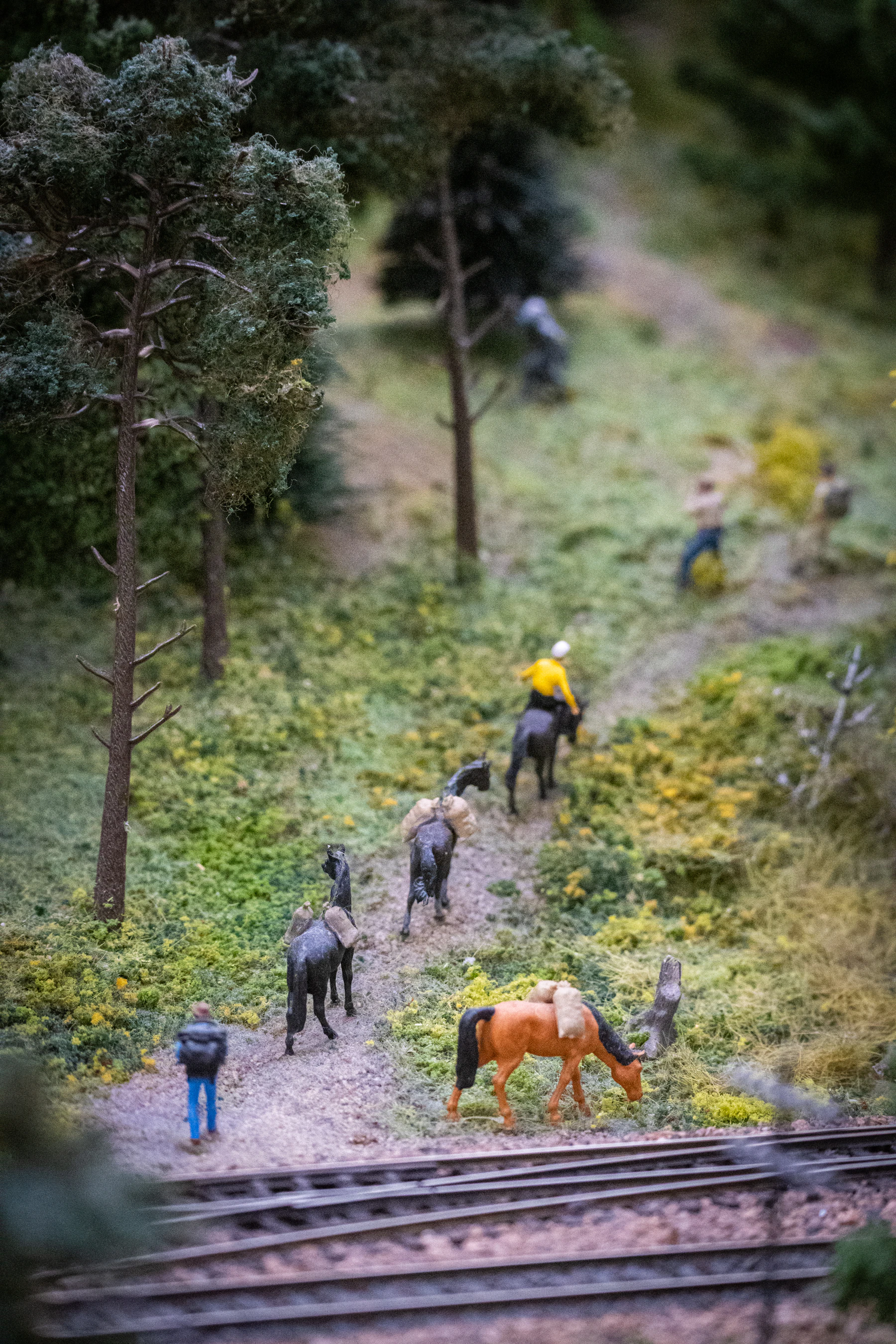 Tiny model horses and riders on a dirt trail between model pine trees, seen from above