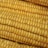 Close-up view of several ears of corn with bright yellow kernels packed tightly in rows.
