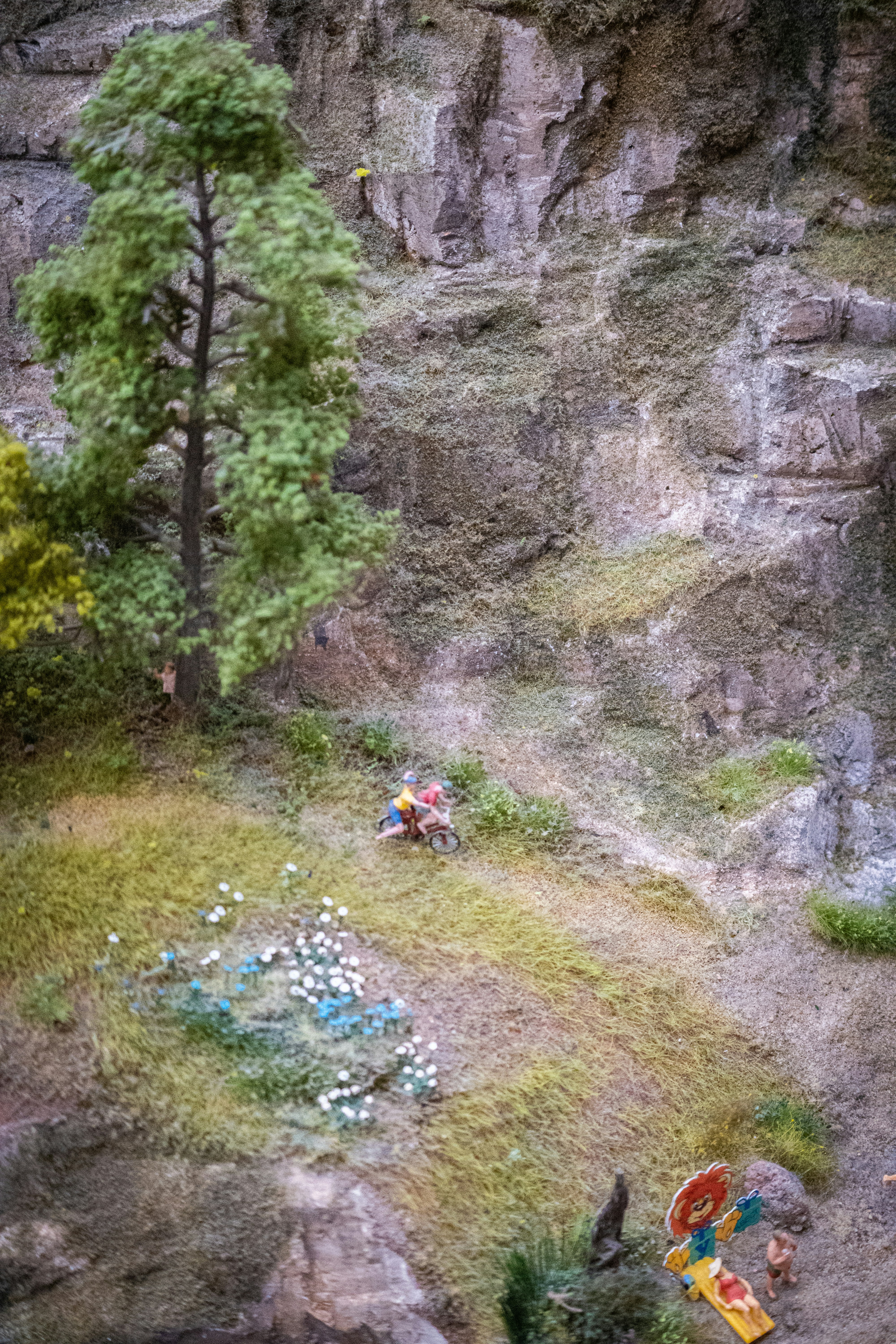 a group of people sitting on top of a lush green hillside