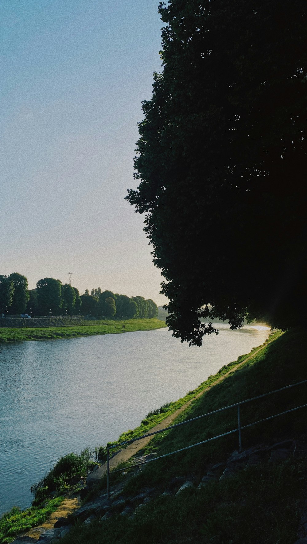 a body of water next to a lush green field