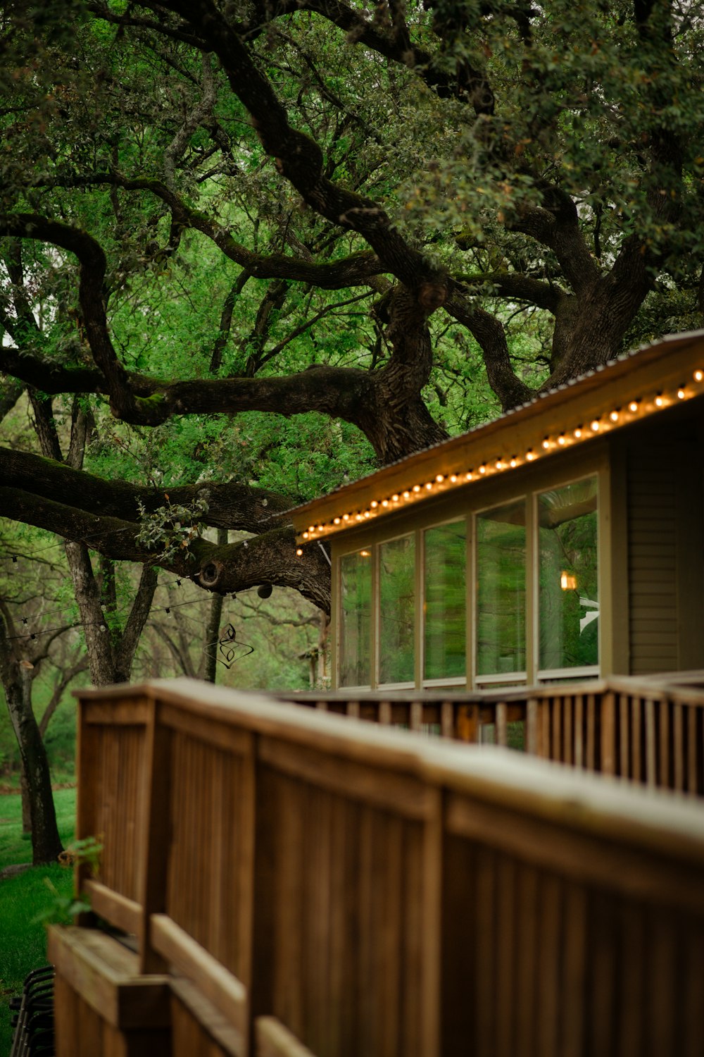 a wooden bench sitting next to a lush green forest