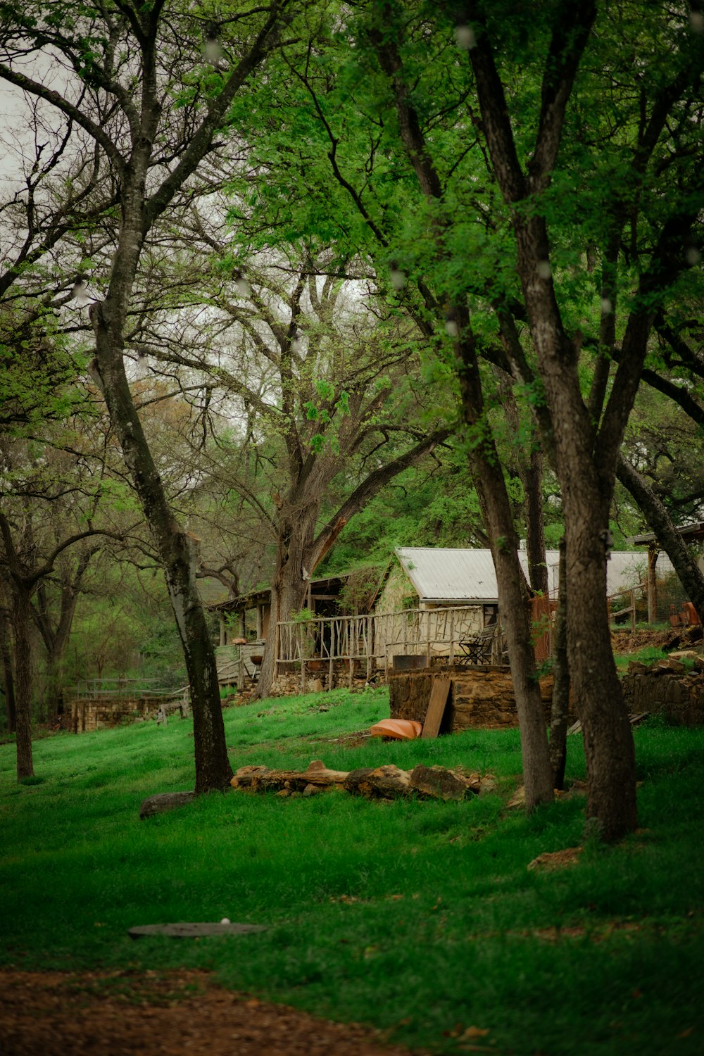 a green field with trees and a house in the background