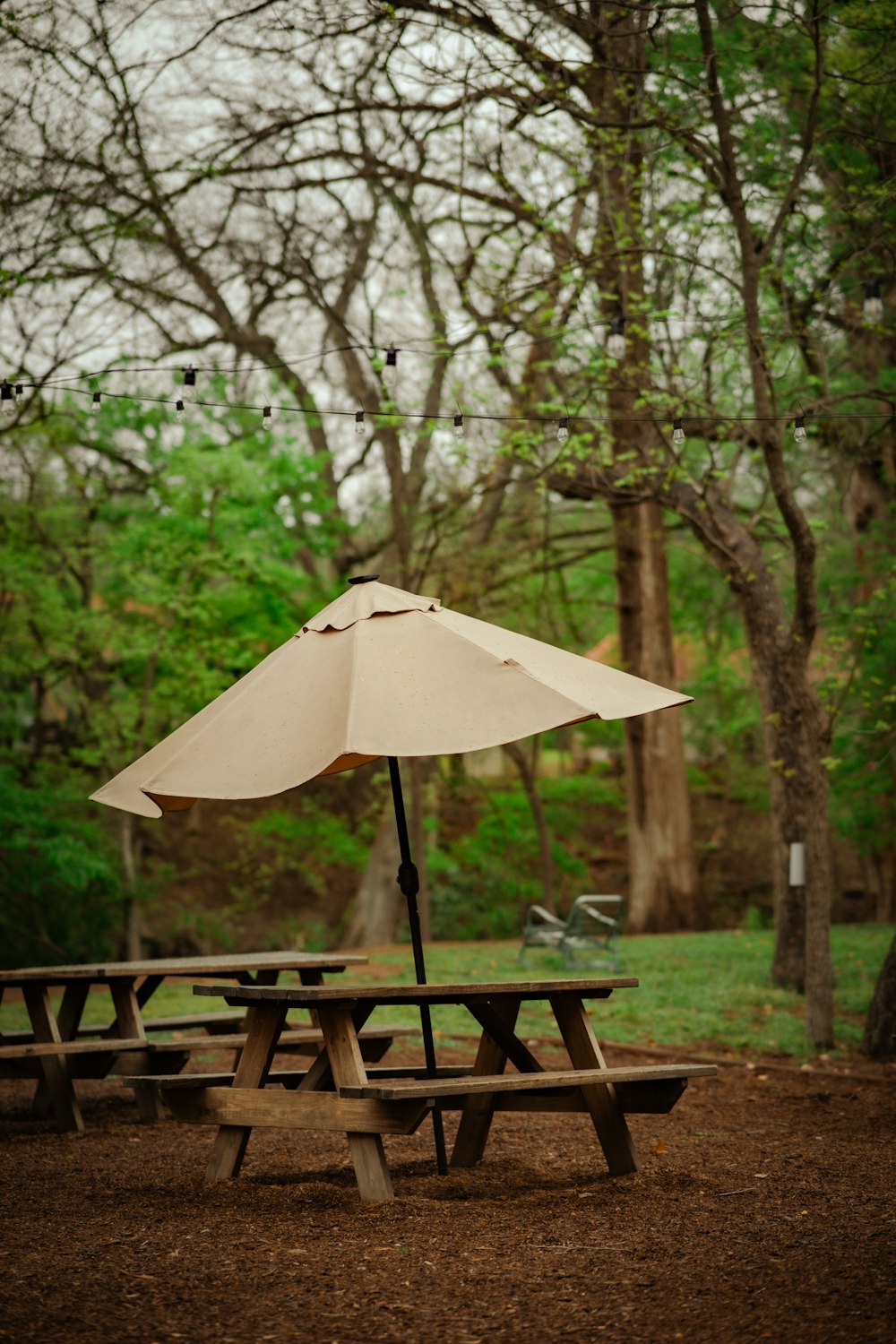 Una mesa de picnic con una sombrilla en un parque