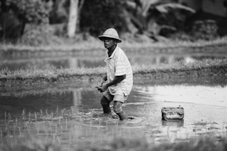A person wearing a hat and striped shirt works in a flooded field, possibly planting or tending to crops. The environment is rural, with visible vegetation in the background, suggesting an agricultural setting.