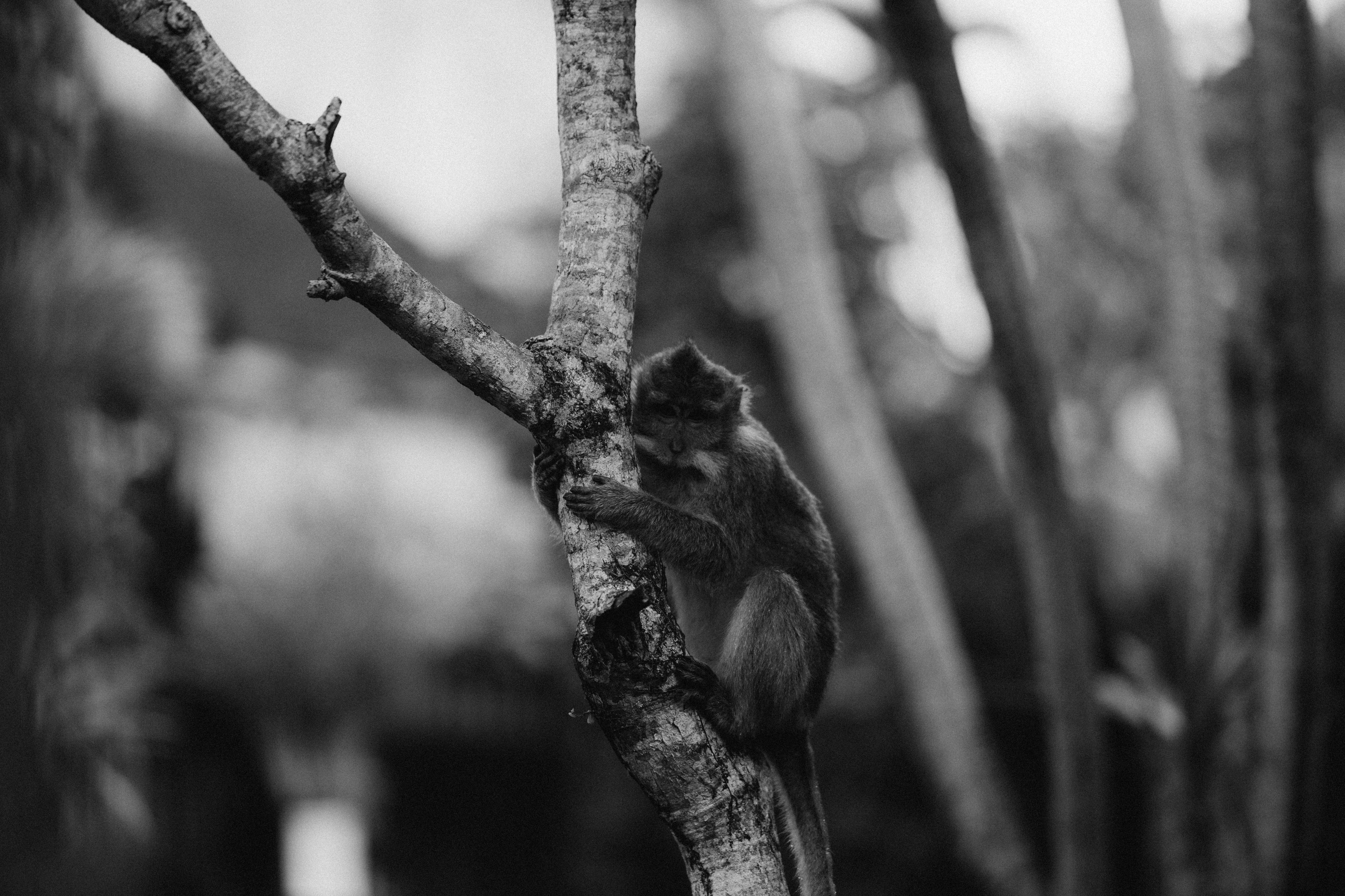 Photo by the_traveler_with_a_romantic_twist