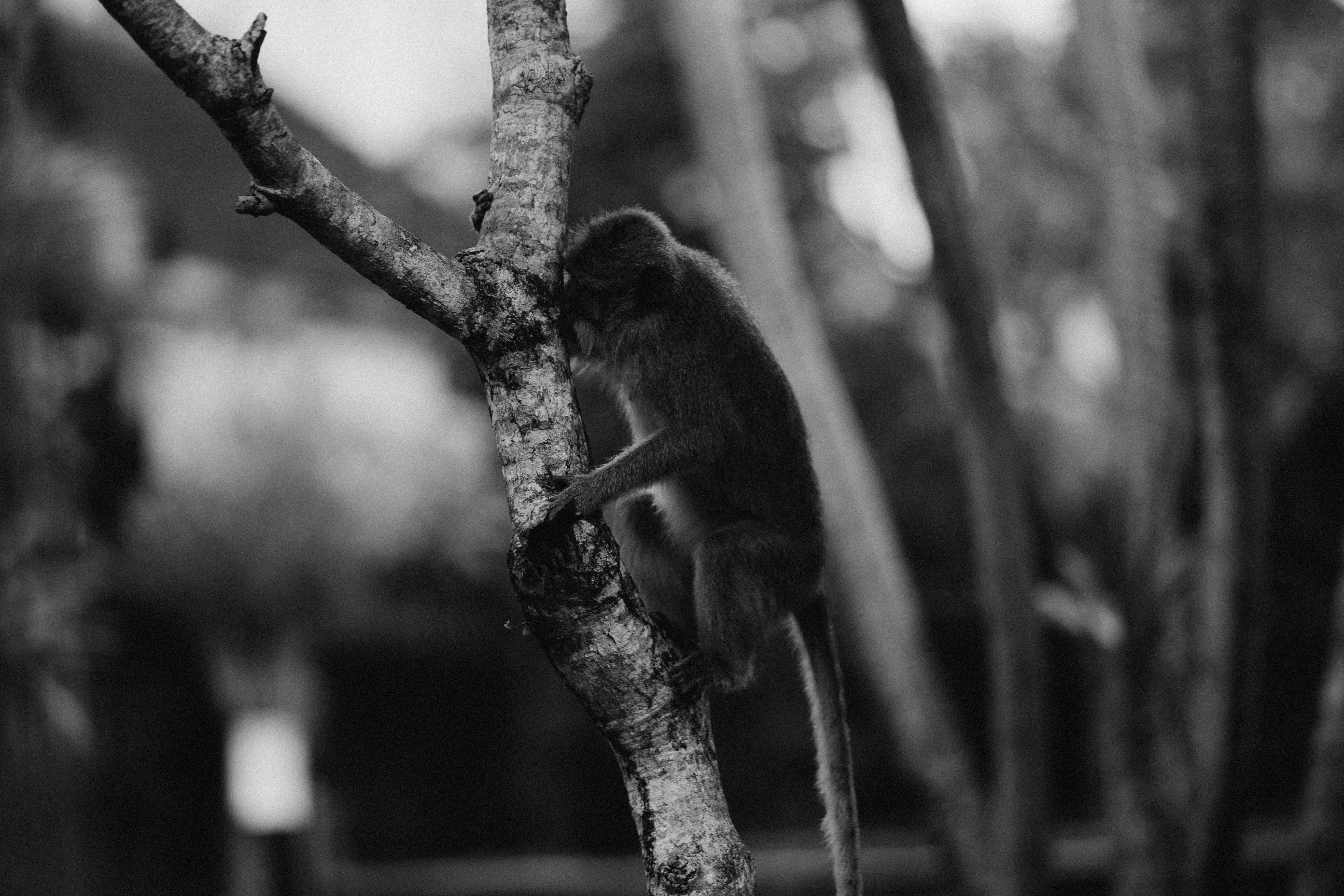 Photo by the_traveler_with_a_romantic_twist