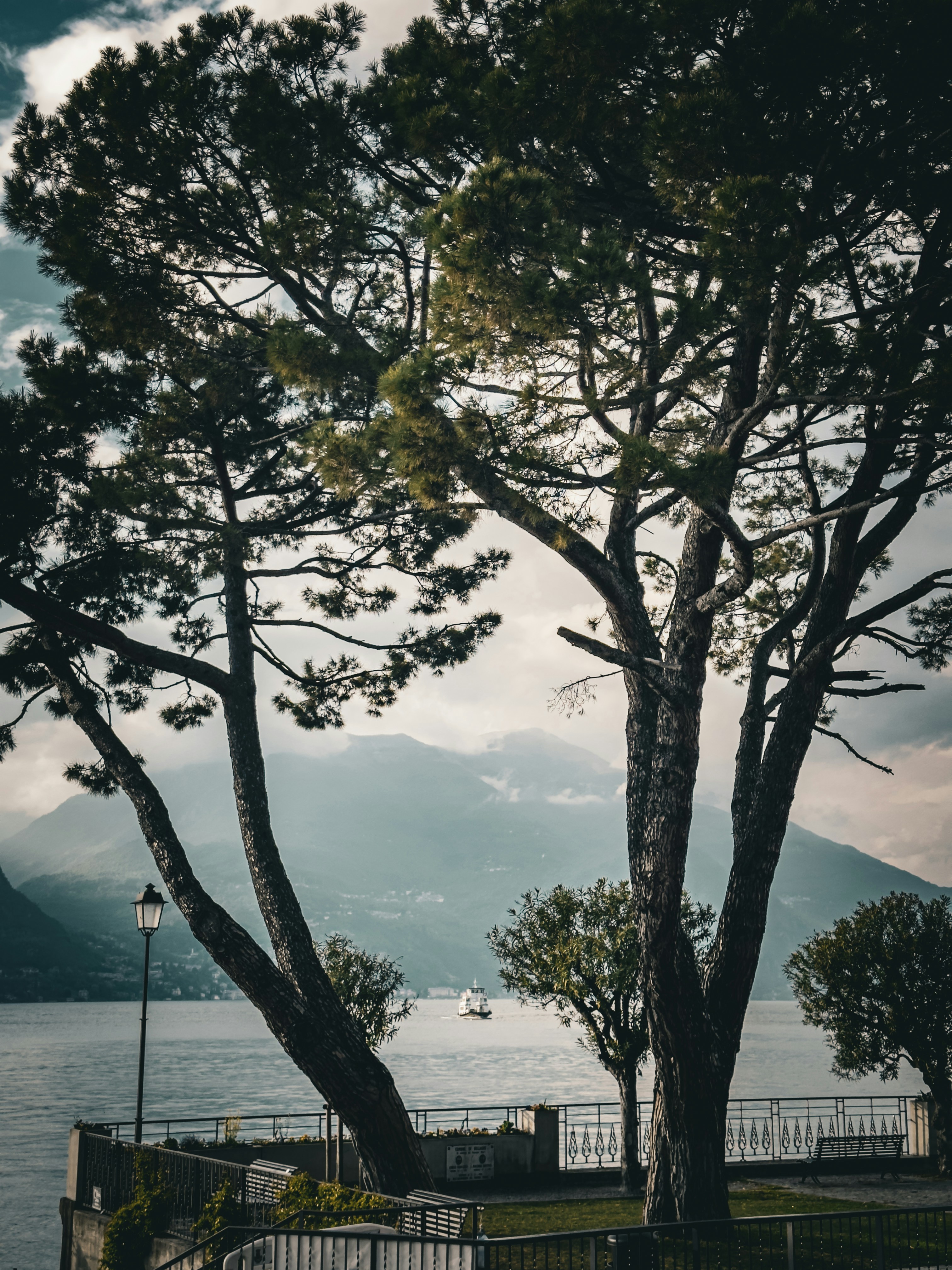 Photo by kuznetsov_000