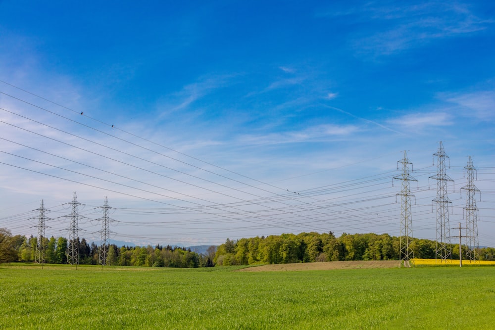 a green field with power lines in the background