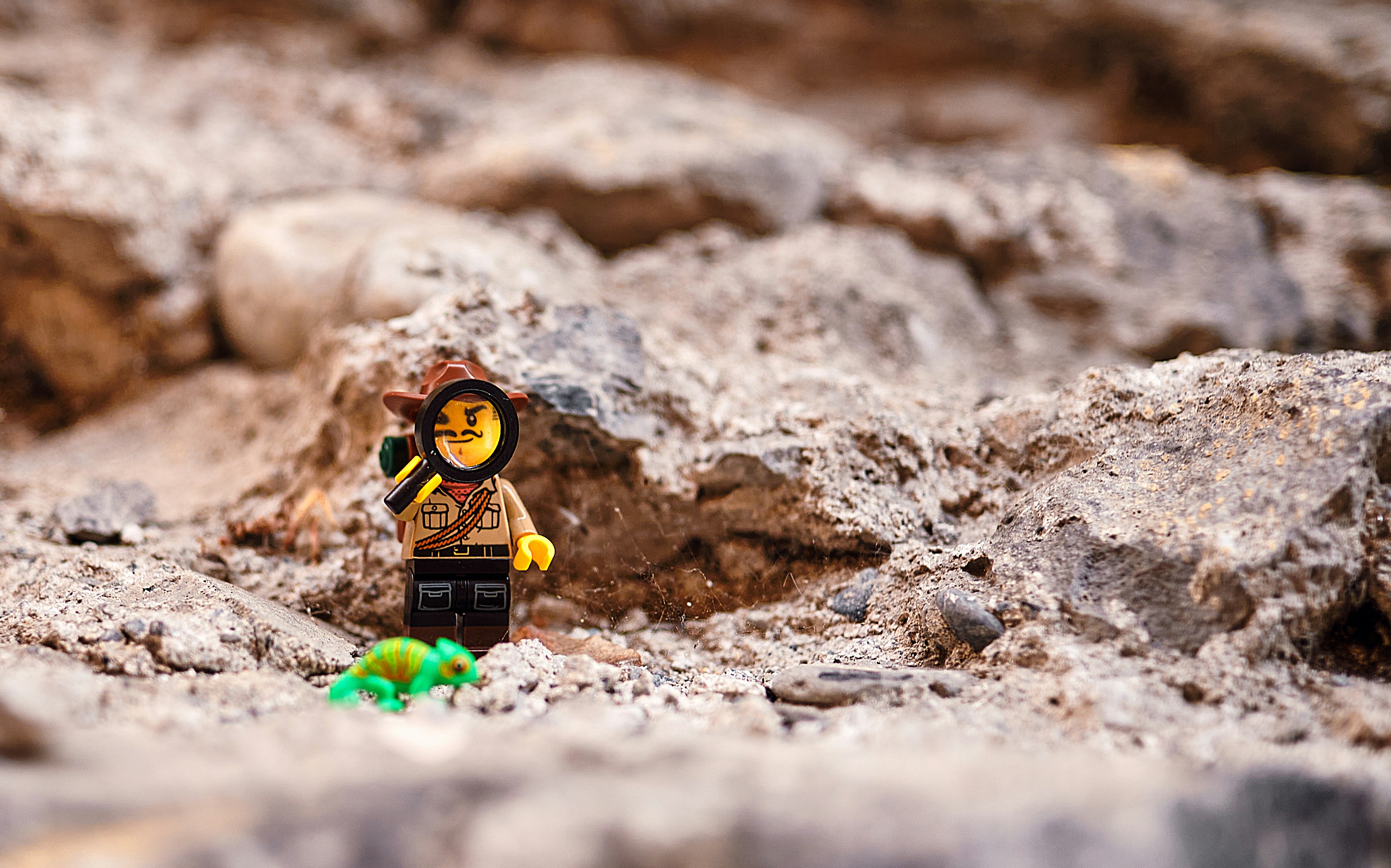 Photo by marcus_ganahl