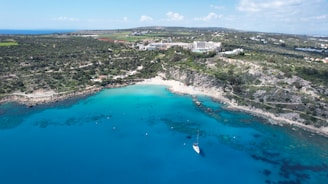 an aerial view of a beach with a boat in the water