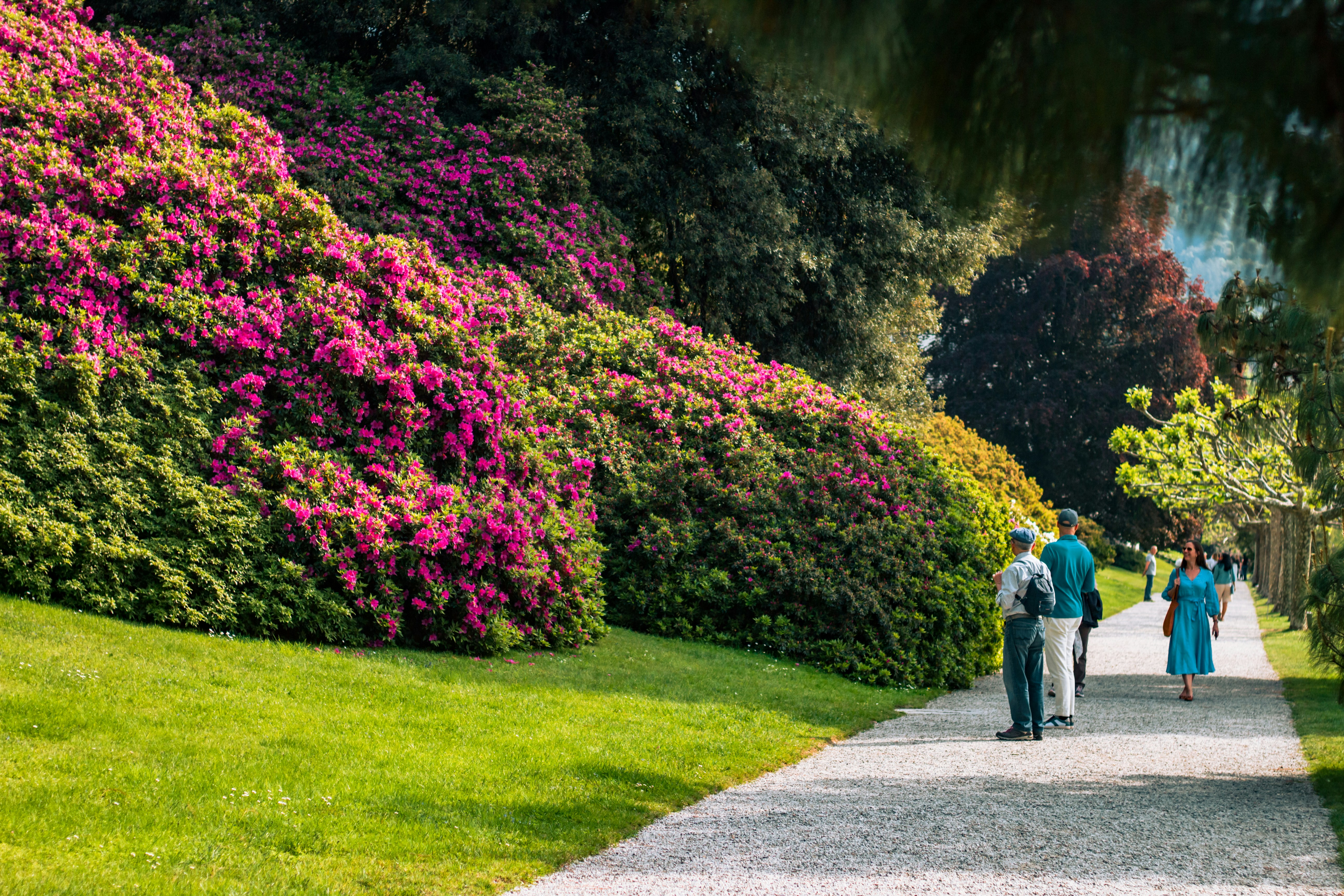 Un par de personas que están caminando por un sendero
