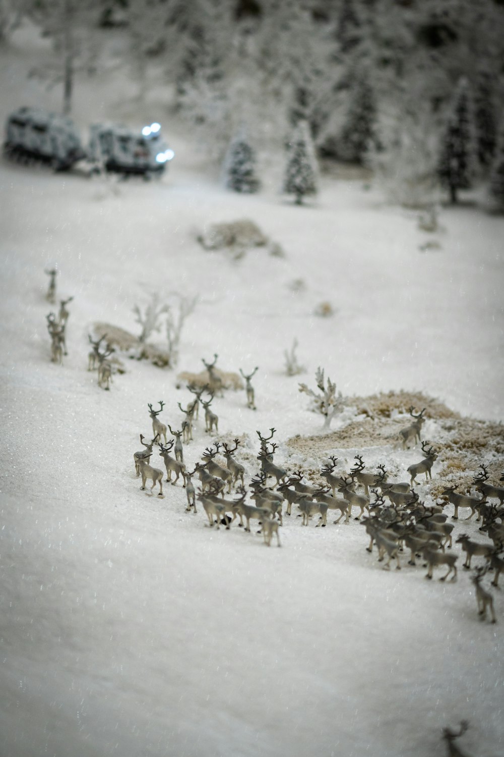 a herd of deer walking across a snow covered field