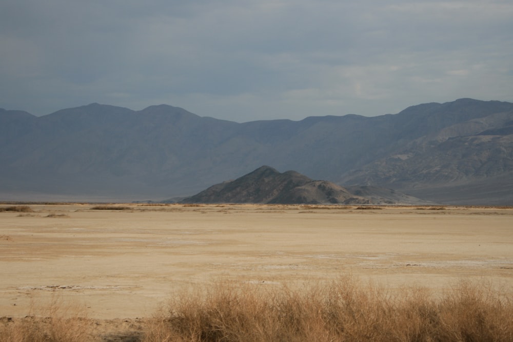 a field with a mountain in the background