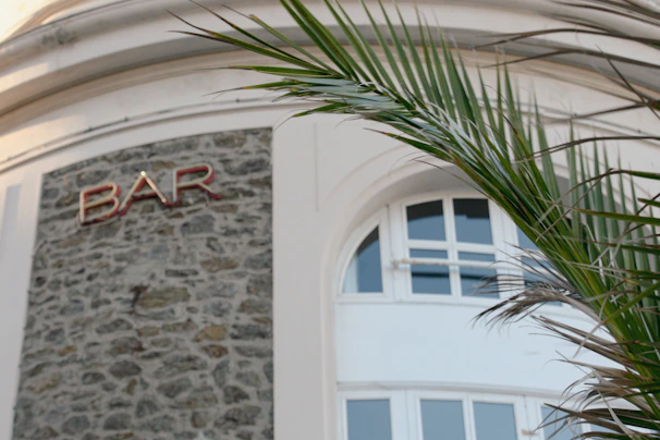 A building facade featuring a section of stone with the word 'BAR' in red letters. A curved white window with multiple panes is partially visible. In the foreground, a green palm branch arcs across the image, adding a tropical element.