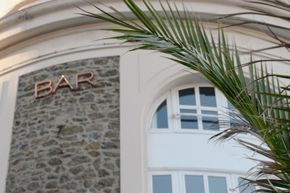 A building facade featuring a section of stone with the word 'BAR' in red letters. A curved white window with multiple panes is partially visible. In the foreground, a green palm branch arcs across the image, adding a tropical element.