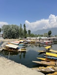 a body of water filled with lots of small boats