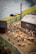 A detailed farm scene features numerous pigs within a fenced area, with a barn and another farm building nearby. The scene includes a small figure tending to the pigs and green fences surrounding the pen. In the background, there's a road with a couple of vehicles next to a river.