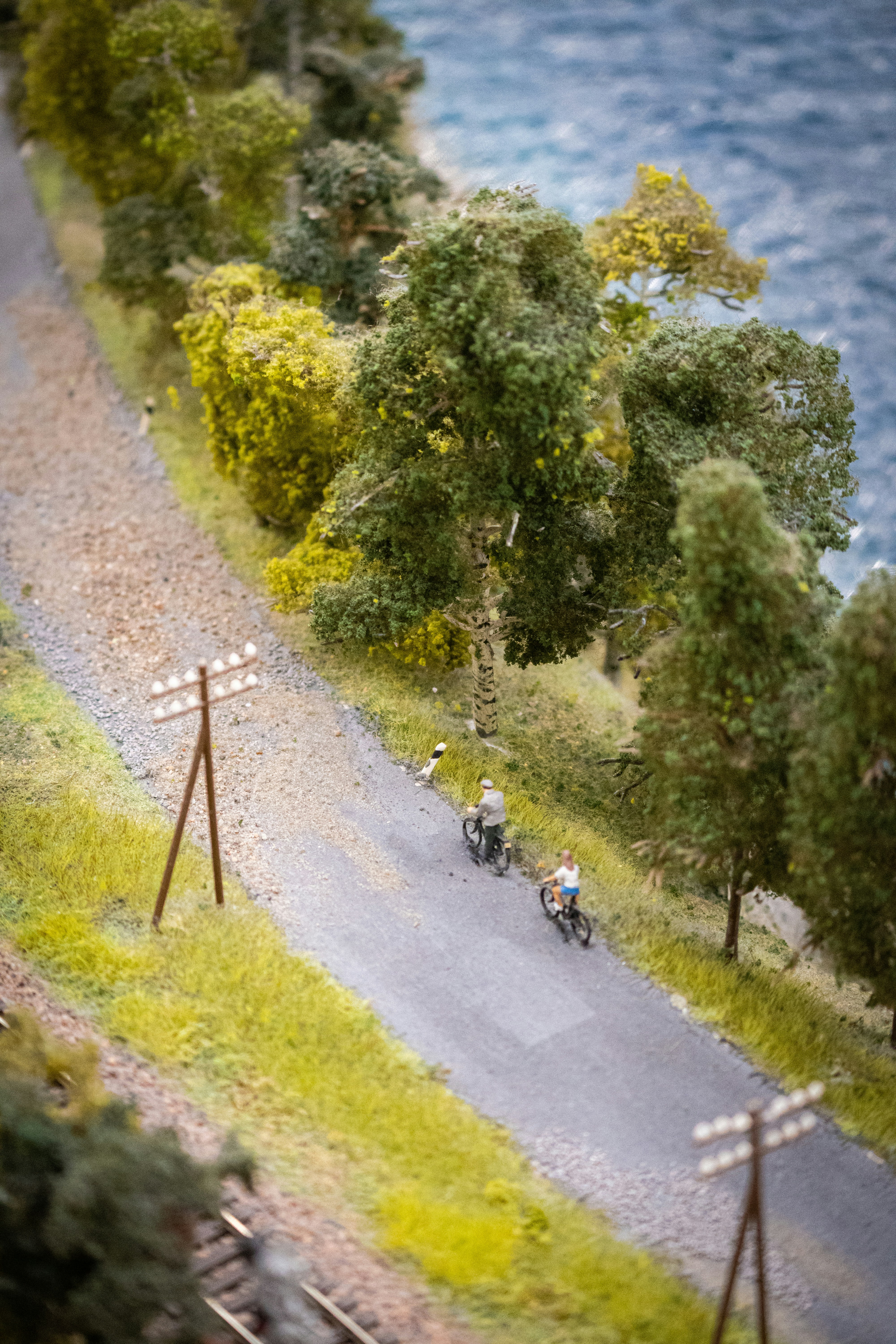 a couple of people riding bikes down a road