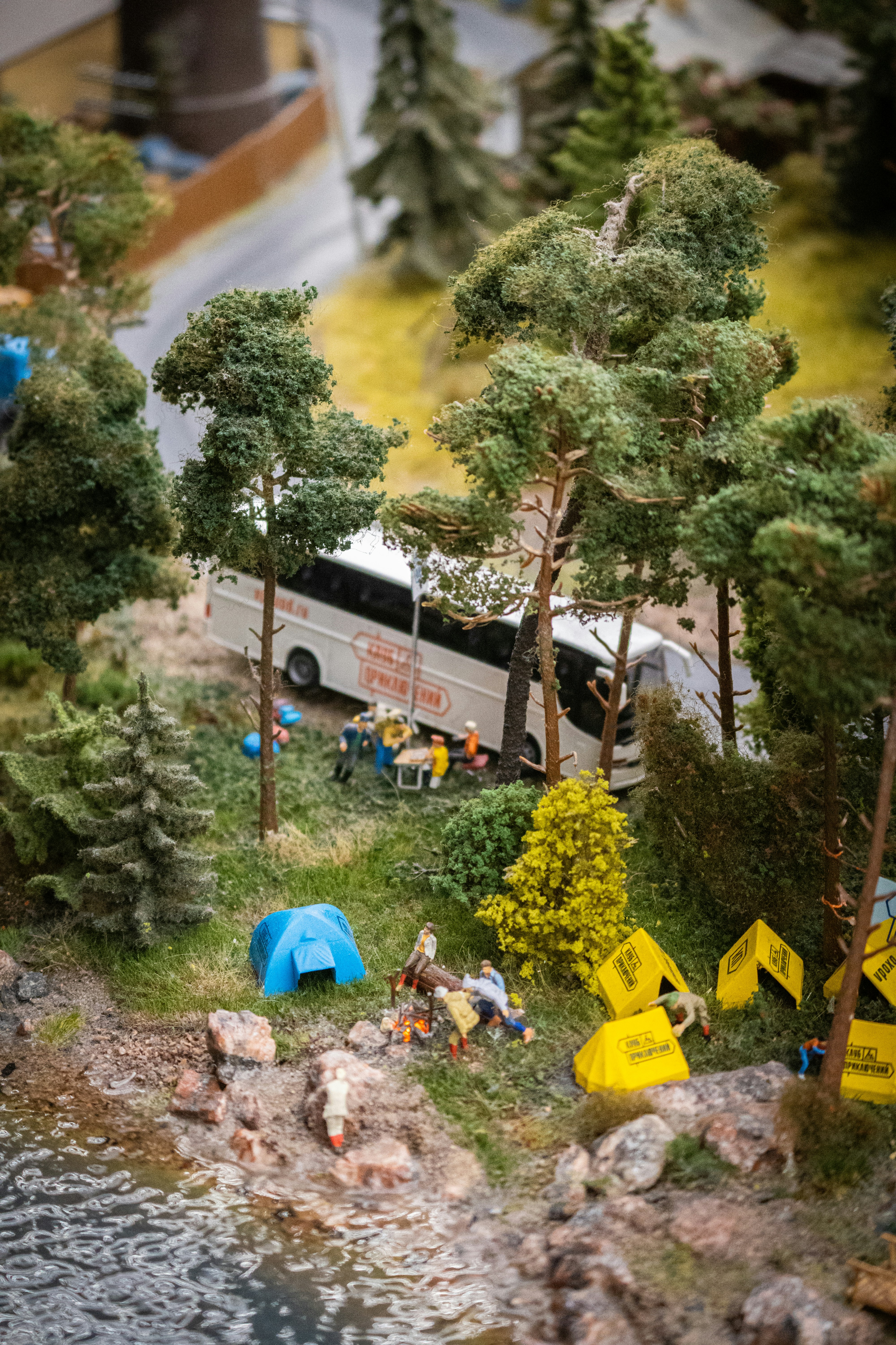 8 Family Camping Guides for Choosing the Right Campsite Size