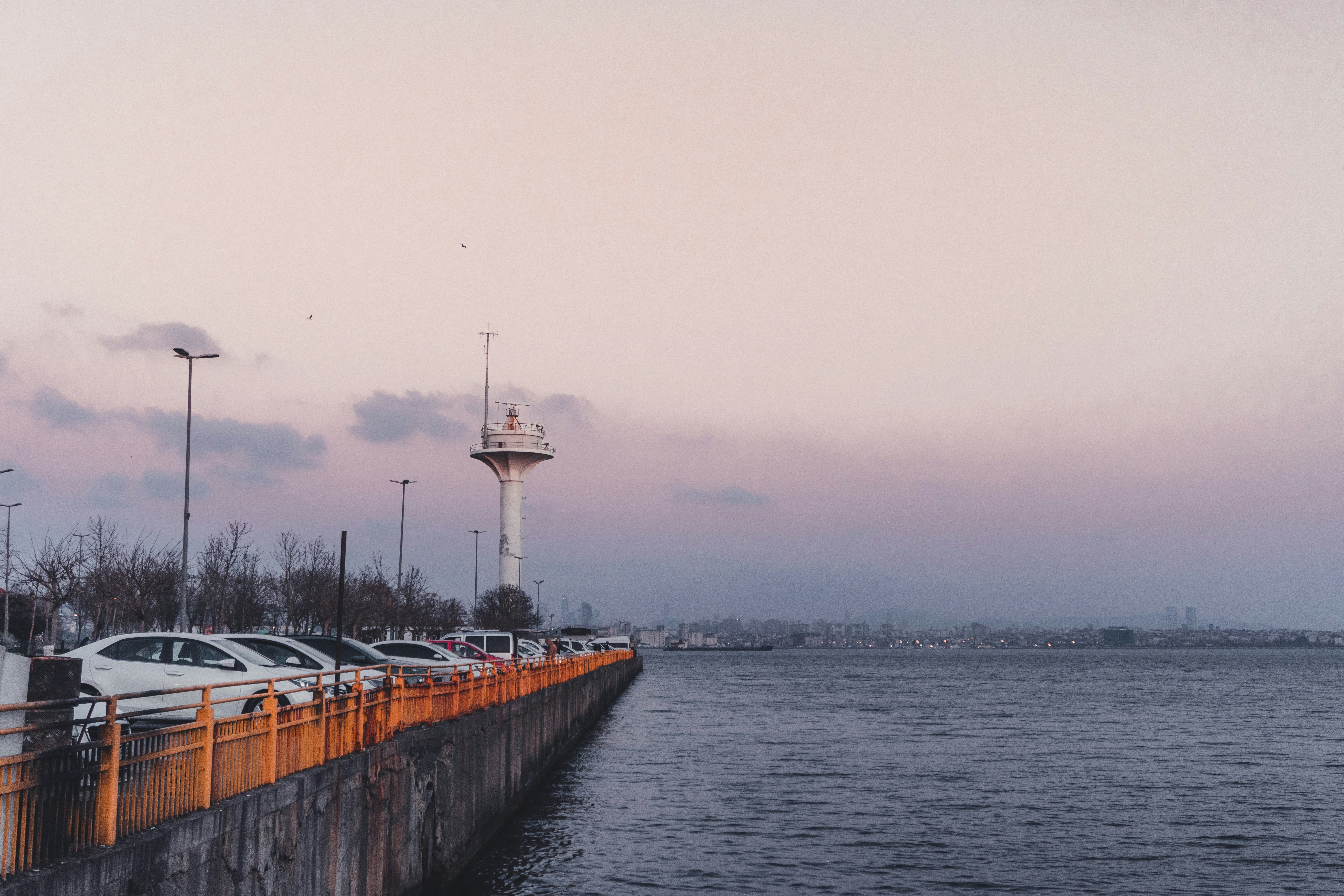 a row of parked cars next to a large body of water