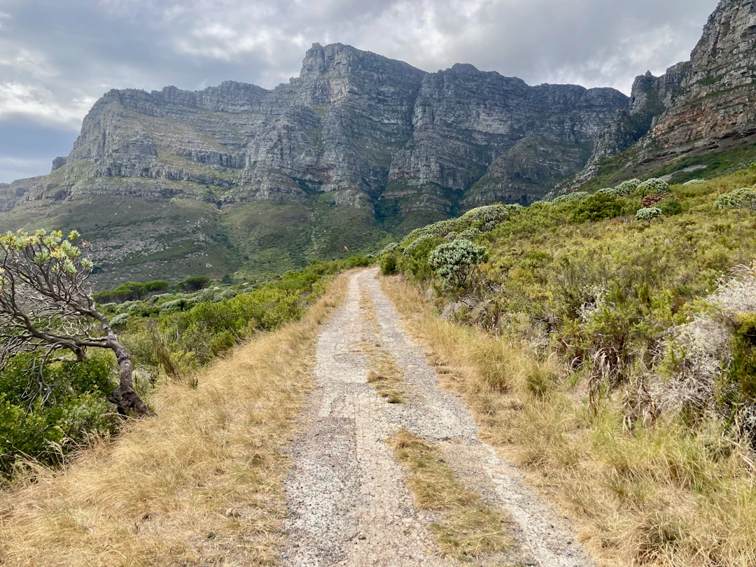 Guía de viaje Cape Town 2026 — qué ver, comer y consejos
