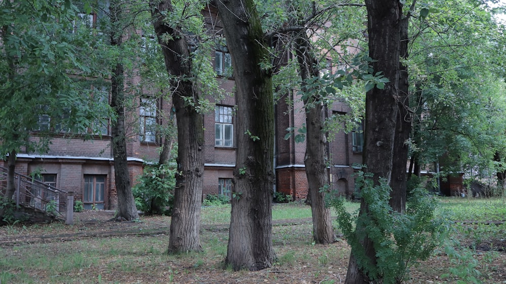 an old building surrounded by trees and grass