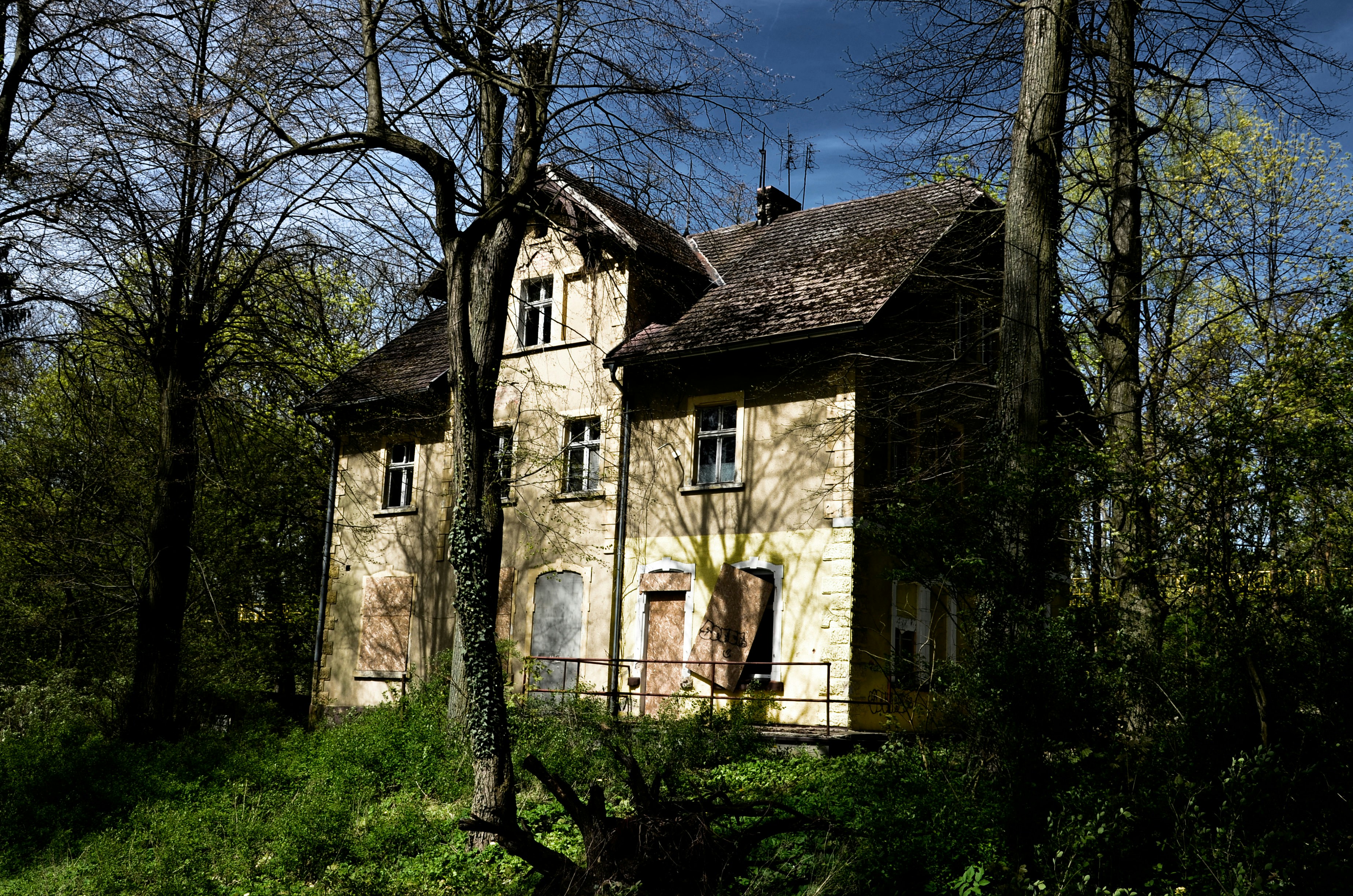 Photo by renovatio72