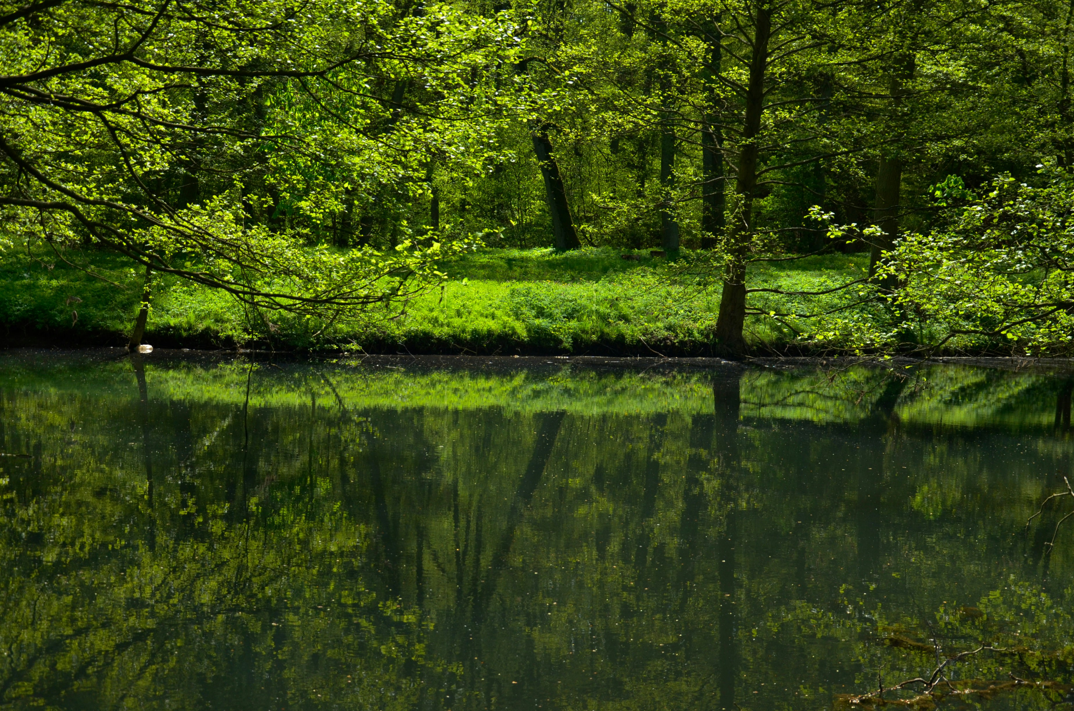 Photo by renovatio72