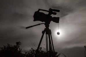 Atmospheric frame from a documentary-style video capturing raw emotion in natural light.