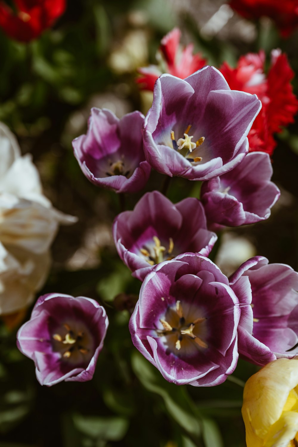 a bunch of flowers that are in a vase